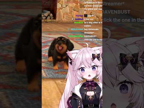 Catgirl Plays With A Puppy