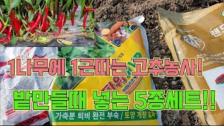고추 1나무에 1근 따려면 밭을 잘만들어야 해요!! 밭만들기 5종세트 대공개!