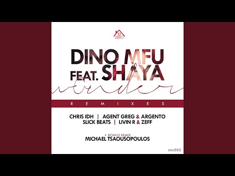 I Wonder (feat. Shaya) (Chris IDH Remix)