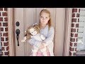ESCAPING THE Doll