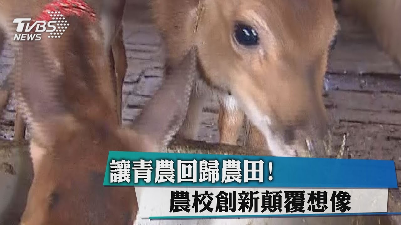 讓青農回歸農田! 農校創新顛覆想像