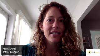 BirdSend YouTube Video