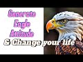 Apply Eagle S Attitude And Behavior Become More Like The Eagle In Our Character And Performance