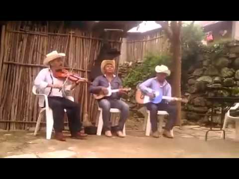 Trio huasteco de Hidalgo