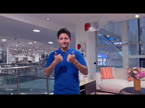 Labor Inclusion for People with Disabilities