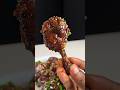 Chicken Lollipop Shorts