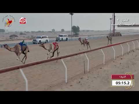  ش 1 (إصرار) لـ  راشد سعيد محمد الكمده 9:45 , شارة الديوان 2 2026/10/18 اللبسه حول زمول  