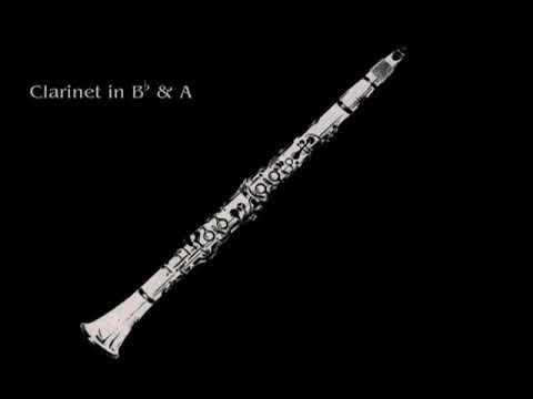 23 Clarinets - Clarinet Choir - W. A. Mozart, Lacrimosa (pop version)