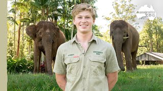 Robert introduces our magnificent elephants | Australia Zoo Life