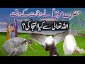 Hazrat Moosa As Aur Hazrat Haroon As Ki Wafat Ka Qissa Qasa Ul Anbiya Episode 36Prophet Stories Urdu