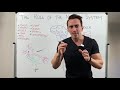 Introduction To The Nervous System