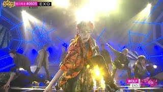 【TVPP】EXO - Wolf, 엑소 - 늑대와 미녀 @ Show! Music Core Live