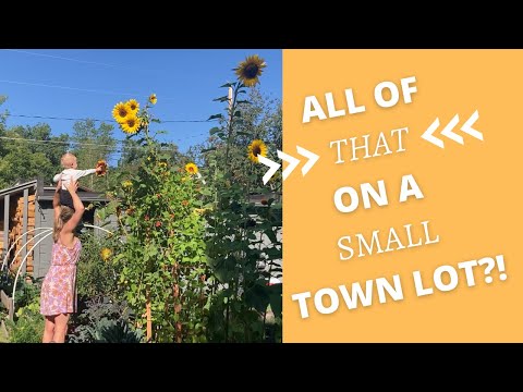 URBAN HOMESTEAD TOUR!
