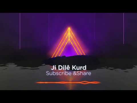 Bijî Kurdistan – Straneke Welatî û Hêzdar | Dengê Neteweyî | Je Dilê Kurd