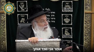 הפרשה של כל החגים