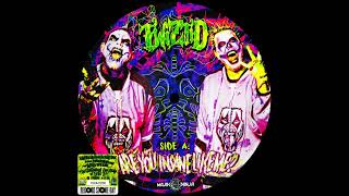 Twiztid - Are You Insane Like Me? / Psychomania [Vinyl Record Single] (Side A)