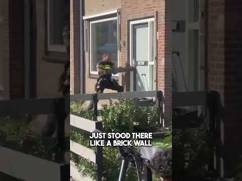 The Door That Embarrassed an Entire SWAT Team 😂