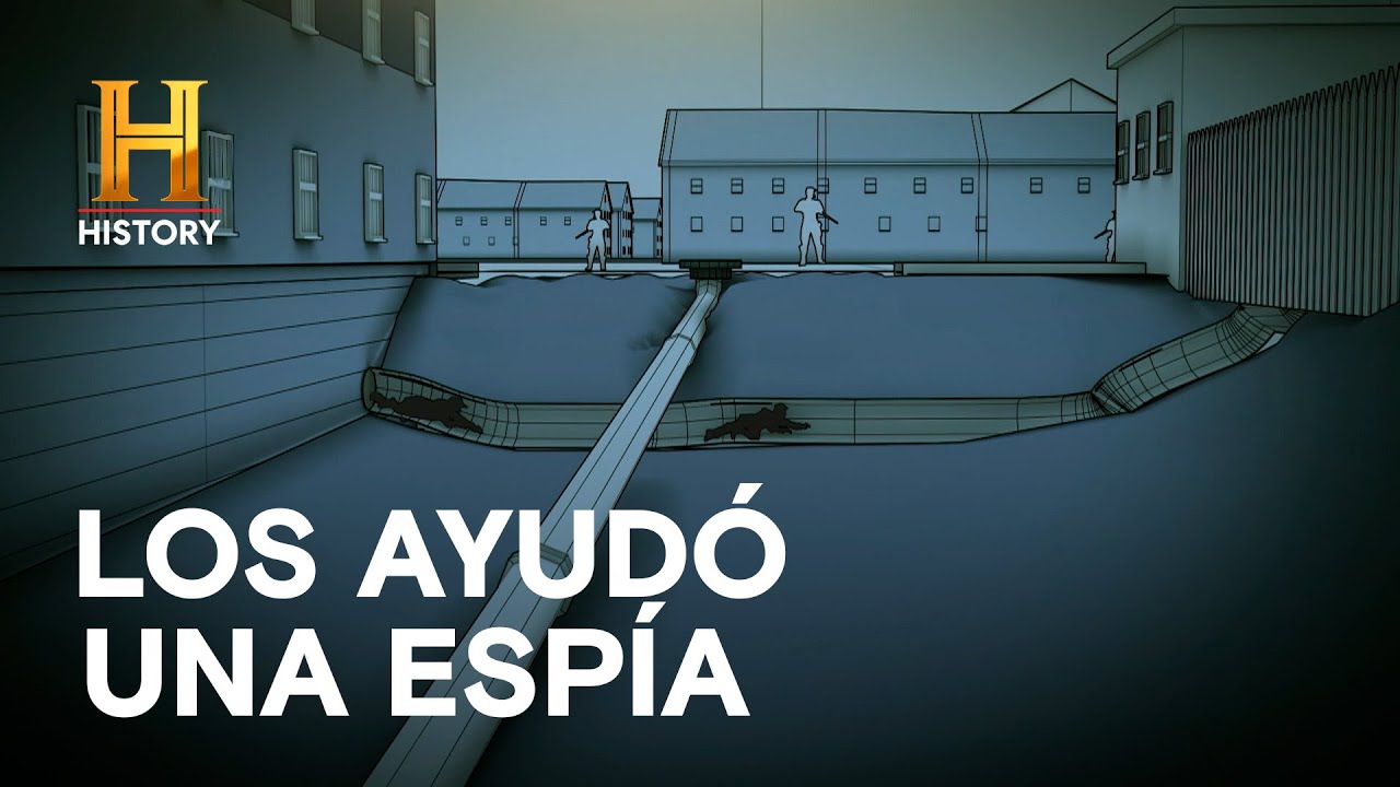 Un nuevo plan de fuga ⚒️ - GRANDES ESCAPES CON MORGAN FREEMAN