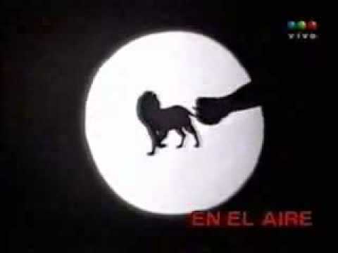 sombras chinescas - video match - El Leon cancino se despide del bosque