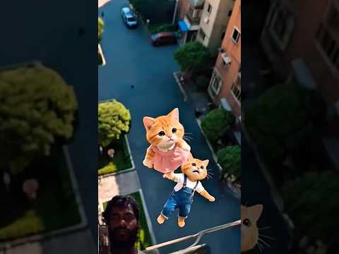 cat video emotional#shorts #cat #pets #cute #fouryourpag #adoreble #petsunited #highlights #funny