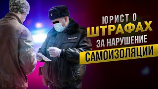 Наказания и штрафы за нарушения правил охоты