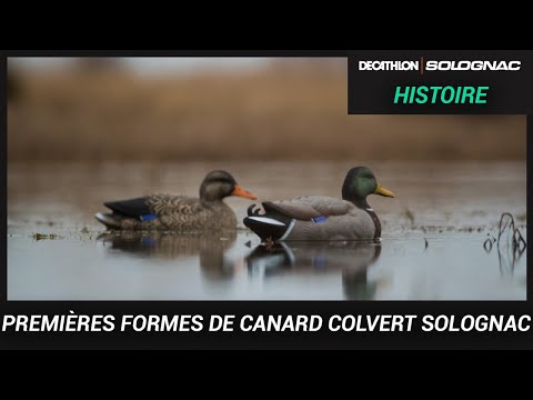 FORMES DE CANARD SOLOGNAC : LA NOUVEAUTÉ 2020 POUR LA CHASSE DU GIBIER D'EAU