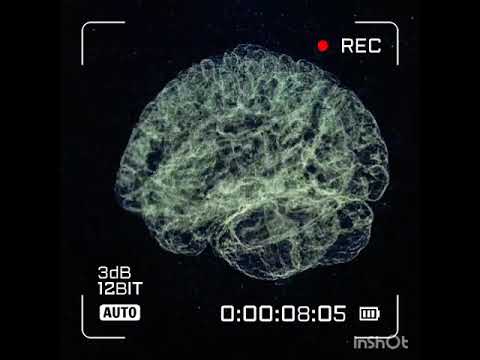 80 Aum - Mindcontroller (1991)