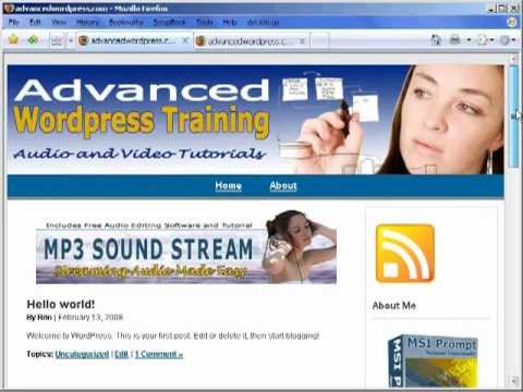 3 Working With Wordpress Php Code