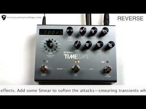 Strymon Timeline Part II Walk through