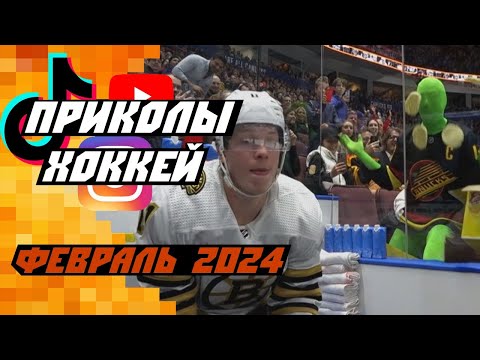 Самые смешные хоккейные видео: Февраль 2024 [Часть 1]
