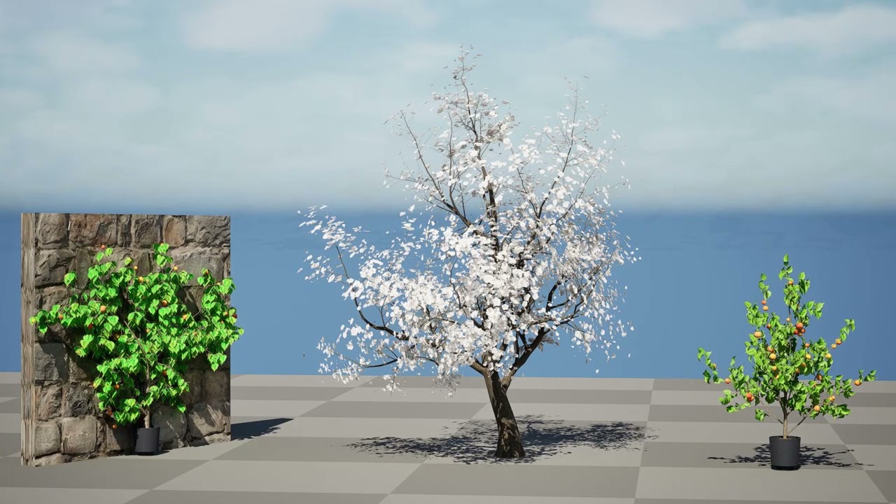 Albero di sapore di albicocca britannica Modello 3D