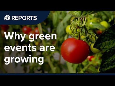 為什麼參加可持續發展活動的人比以前多 (Why more people are attending sustainable events than ever)