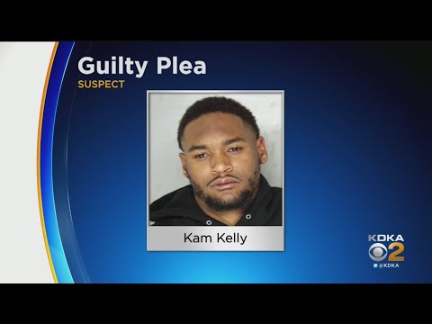 Former  Steeler Kam Kelly Pleads Guilty To Disorderly Conduct