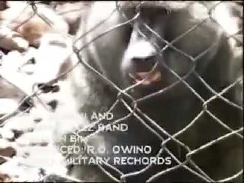 D O Misiani - bim en bim