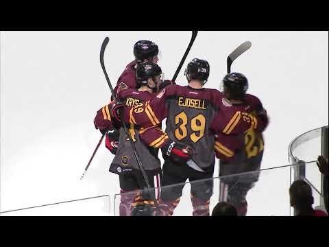 Wolves vs. IceHogs | Mar. 31, 2019