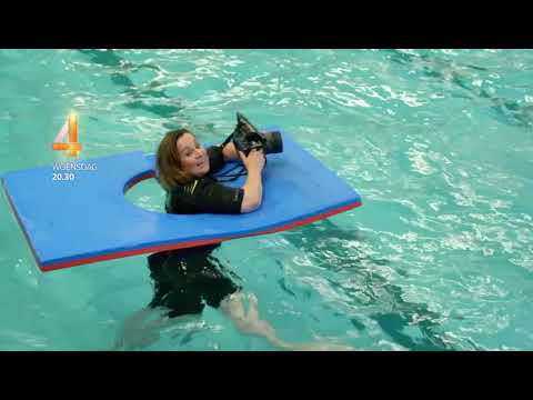 Het Perfecte Plaatje (2016-2025)