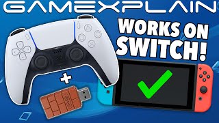 PS5 DualSense Can Work on Switch! ...with an 8BitDo Adapter! (But No PS4 Support?)