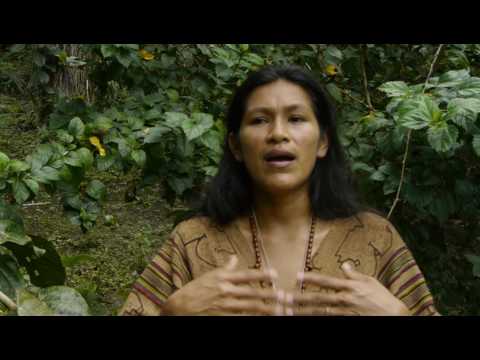 Ayme sings the icaro "Mariri"