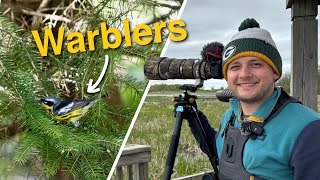 Birding Wisconsin During Warbler Migration!
