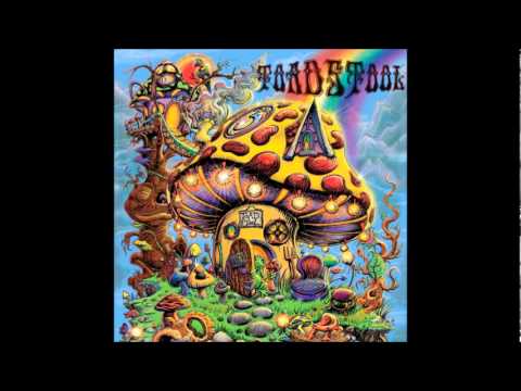 Toadstool - Toxic Mushroom