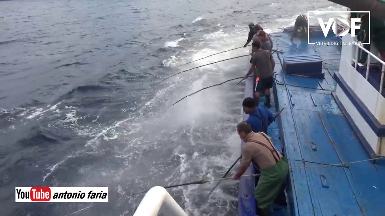 Pesca de Atum «Traineira Rei dos Açores» Atum Santa Catarina 2020