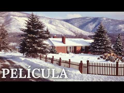 ¡Una película conmovedora! 💕 Una noche casual bajo el mismo techo encendió sentimientos apasionados