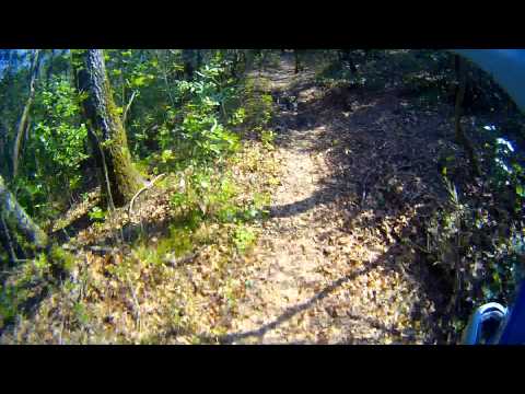 MTB Scott Genius 740 @ Roveta, Poggiona trail (4 di 6)