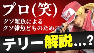 クソ雑魚によるクソ雑魚どものためテリー解説講座【スマブラSP】
