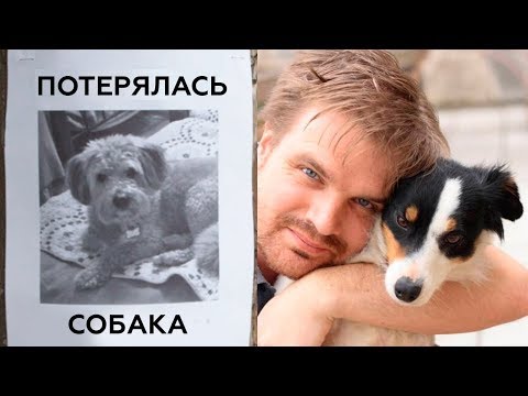 5 Потерянных Собак, Которые Нашлись Через Много Лет!