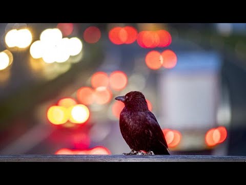 Was an diesem Freitag wichtig ist - Euronews am Abend am 23.04.