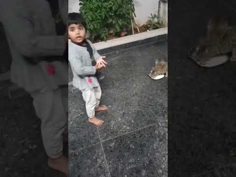 Samyuktha/ with cat / social service/ patel channel/ balrajpalli/ julapalli