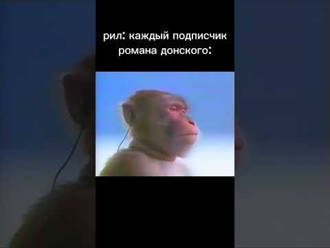 Обезьяна в наушниках мем