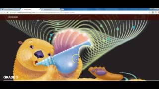 Pearson Realize Online Resources