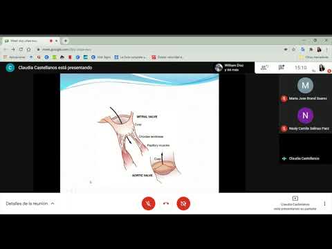 Clase 10 - Fisiología Médica UP (10 de marzo)